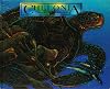 Chelonia: El Retorno De La Tortuga Marina / the Return of the Sea Turtle (Spanish Edition)