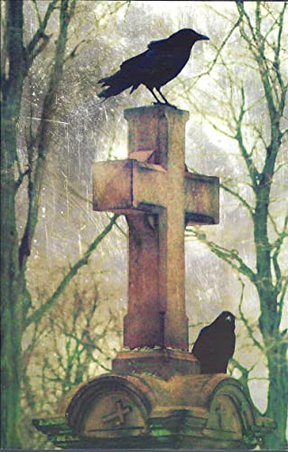 Gargoyle #61 (By: Richard Peabody) cover