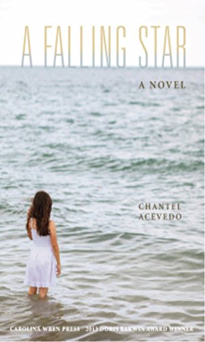 A Falling Star book cover