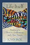 Life Itself: Messiness Is Next to Goddessness and Other Essays