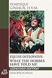 Equine Osteopathy What The Horses Have Told Me