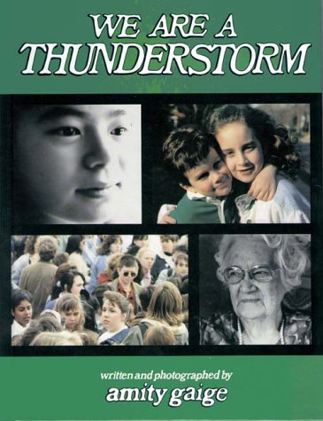 We Are a Thunderstorm book cover