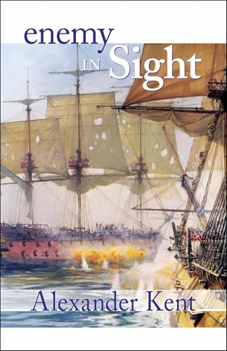 Enemy in Sight! book cover