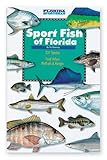 Florida Sportsman Sport Fish Of Florida Book