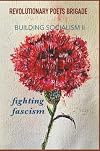 Building Socialism, Volume 2 - Fighting Fascism