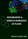 Biochemistry & Molecular Biology of Plants