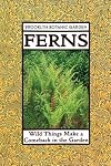 Ferns: Wild Things Make a Comeback in the Garden