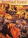 Petrified Forest: A Story in Stone
