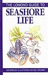 Lomond Guide to Seashore