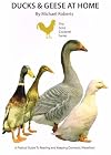 Ducks and Geese at Home (The Gold Cockerel Series)