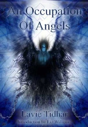 An Occupation of Angels book cover