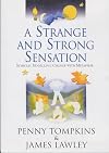 A Strange And Strong Sensation Symbolic Modelling: Change With Metaphor: Symbolic Modelling: Change with Metaphor DVD