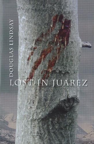 Lost in Juarez book cover
