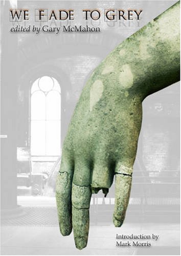 We Fade To Grey book cover