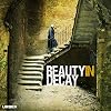 Beauty in Decay: The Art of Urban Exploration