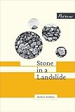 Stone in a Landslide