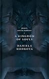 A Kingdom of Souls