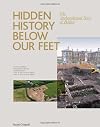 Hidden History Below Our Feet: the Archeological Story of Belfast