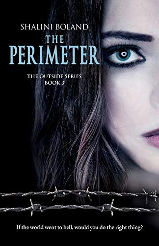The Perimeter book cover