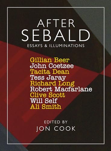 After Sebald: Essays and Illuminations book cover