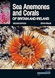 Sea Anemones And Corals Of Britain And Ireland