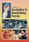 A guide to ... incubation & handraising parrots