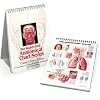 The World's Best Anatomical Chart Series: A Comprehensive Collection of 48 Classic Anatomical Charts in a Desk Size Version
