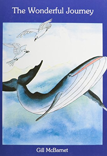 Cover of The wonderful journey