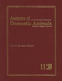 Anatomy Of Domestic Animals Systemic Regional Approach