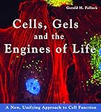 Cells Gels And The Engines Of Life A New Unifying Approach To Cell Function