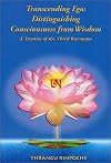 Transcending Ego: Distinguishing Consciousness from Wisdom