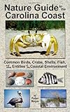 Nature Guide To The Carolina Coast Common Birds Crabs Shells Fish And Other Entities Of The Coastal Environment