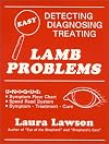 Lamb Problems: Detecting, Diagnosing, Treating