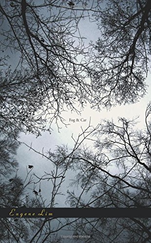 Fog & Car book cover