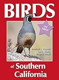 Birds Of Southern California