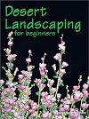 Desert Landscaping for Beginners: Tips and Techniques for Success in an Arid Climate