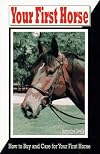 Your First Horse: How to Buy and Care for Your First Horse