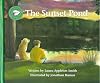 The Sunset Pond (Books to Remember Series)
