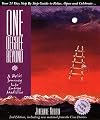 One Degree Beyond: A Reiki Journey Into Energy Medicine: Your 21-Day Step-By-Step Guide to Relax, Open and Celebrate