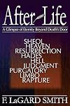 AfterLife: A Glimpse of Eternity Beyond Death's Door