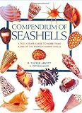 Compendium Of Seashells