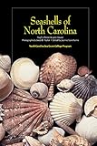 Seashells Of North Carolina