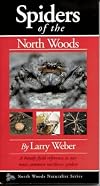 Spiders of the North Woods (North Woods Naturalist Series)