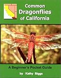 Common Dragonflies Of California A Beginners Pocket Guide