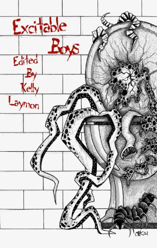 Excitable Boys book cover