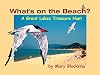 What's On the Beach?: A Great Lakes Treasure Hunt