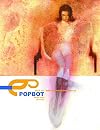 Popbot #2