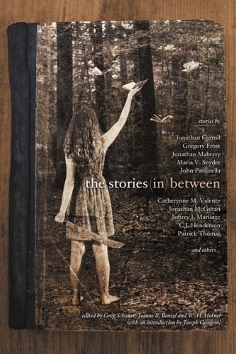 The Stories in Between book cover