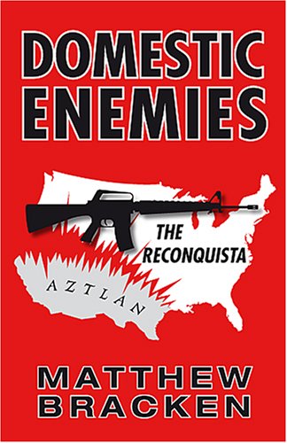 Domestic Enemies book cover