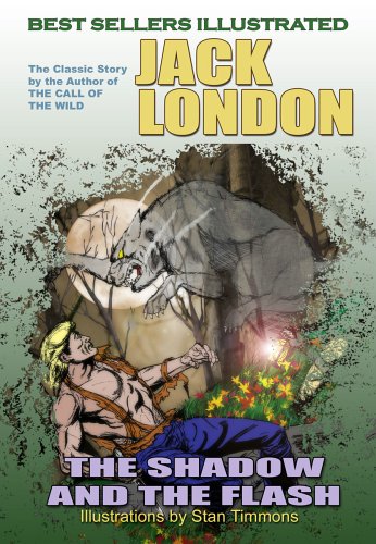 The Shadow and the Flash book cover